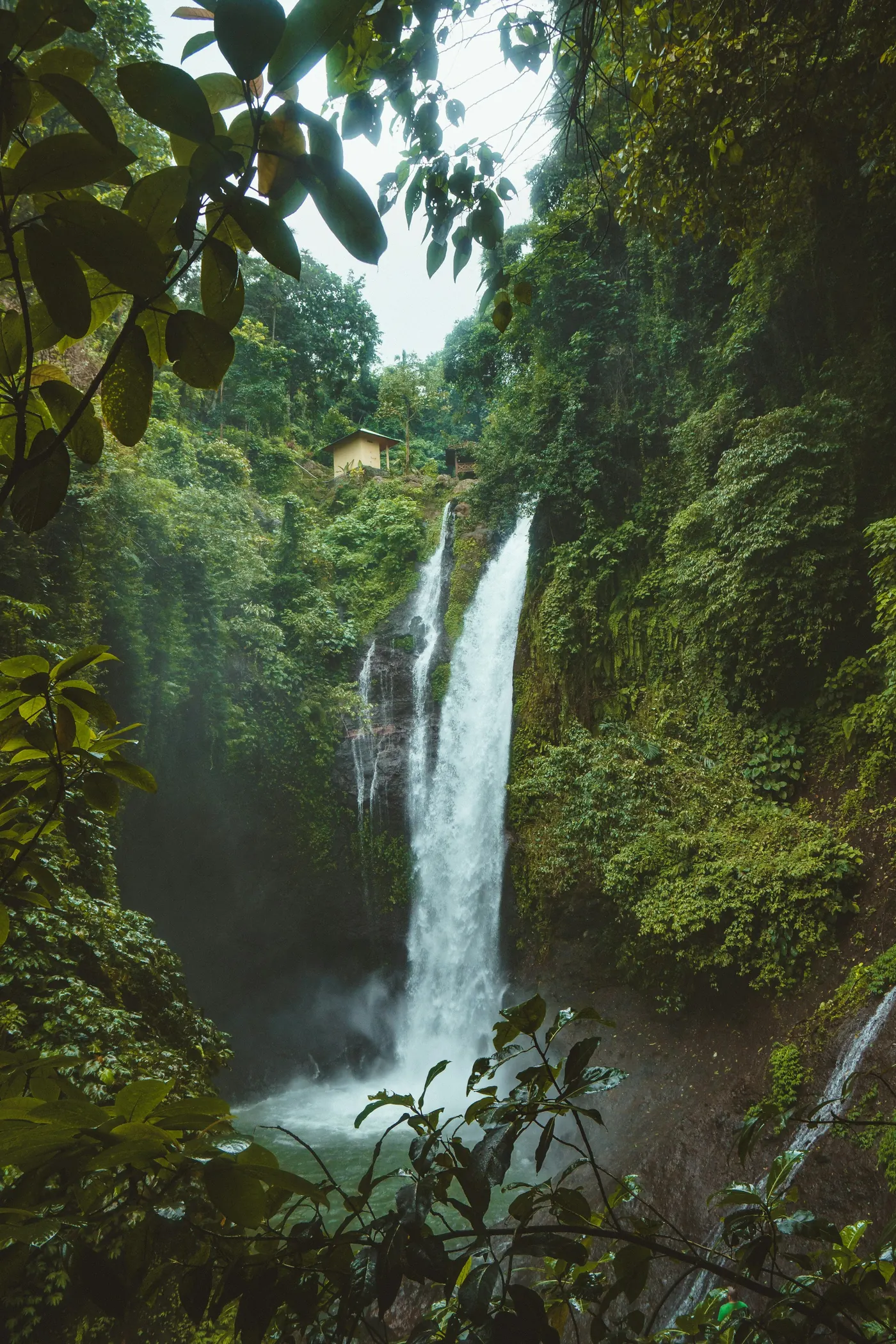 Tropical waterfall, Bali inspiration